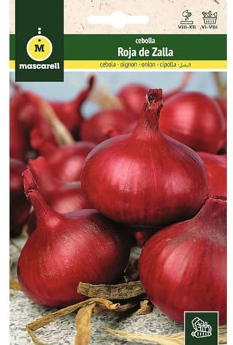 Mascarell Semillas, CEBOLLA, Semillas Huerto, CEBOLLA ROJA DE ZALLA, Crea tu Propio Huerto Urbano y Cultivo en Casa, Plantas Hortícolas, 4 Gramos