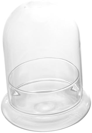 AKOOSY Micro-Paysage Écologique en Bouteille avec Dôme en Verre Transparent pour Décoration de Bureau, Grand Format avec Petit Trou, Récipient en Verre pour Plante en Mousse, Cloche