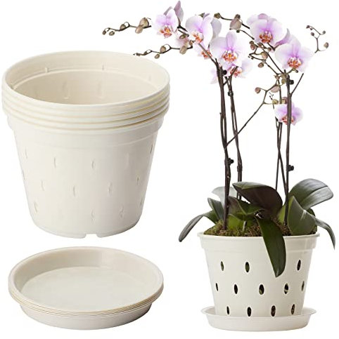 Firlar Orchideentöpfe mit Löchern und Untertassen, Pflanzgefäße für Pflanzen Im Innen- und Außenbereich, Transparente Orchideentöpfe Zum Umtopfen, Atmungsaktiver, Geschlitzter(#1)