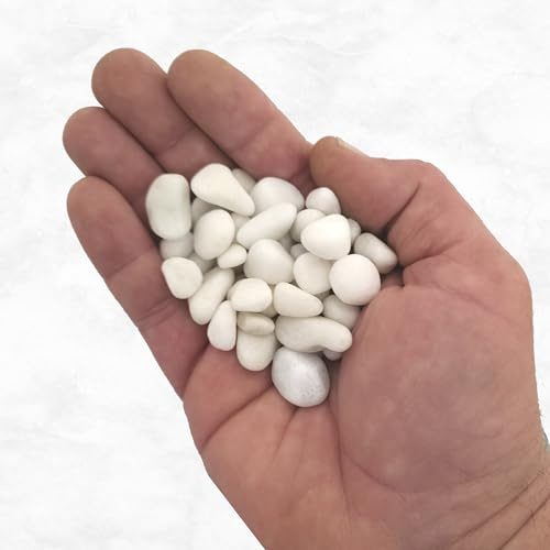Piedras Blancas Canto Rodado | 2,5/5/10/20kg – Decoración para Jardín, Macetas, Acuarios y Floreros – Canto Rodado 6-12mm – Piedra Natural con Brillo (1, 20 kg Total (1 Saco de 2o kg))