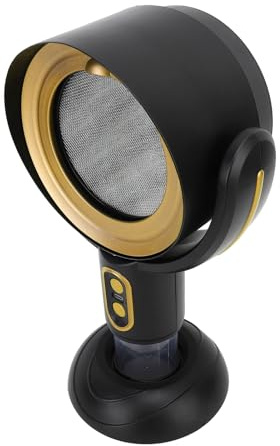 Absorbeur de Fumée de Bureau, Désodorisant à Ions Négatifs, Mini Extracteur de Fumée USB, Filtre de Fumée D'huile, Capot (Noir et or)