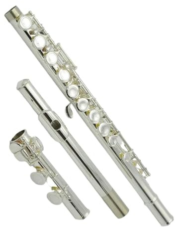 Flauto Do Foro Chiuso Scuola professionale Flauto dolce 16 tasti Flauto traverso in argento Accessori per strumenti musicali Tradizionali nativi