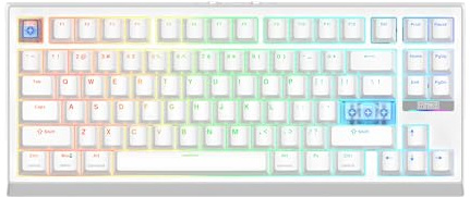 EPOMAKER G84 HE Teclado Magnético Gaming Inalámbrico de Efecto Hall, Blanco | Disparo Rápido y Actuación Ajustable, Sondeo 8000Hz y 8000mAh, SOCD y DKS, RGB, Teclas PBT, Hot-Swap, para Win/Mac