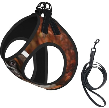 Chiens Boxer Automne,Harnais pour Animaux de Compagnie, Harnais réfléchissant réglable pour Chien,S