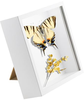 TENGYIF 3D Bilderrahmen Zum Befüllen, 3D Bilderrahmen Tief 20x20 cm Objektrahmen mit Transparente Acrylglas, Tiefer Rahmen für Objekte bis 5cm, 3D Rahmen Weiß für Wandbehang oder Desktop