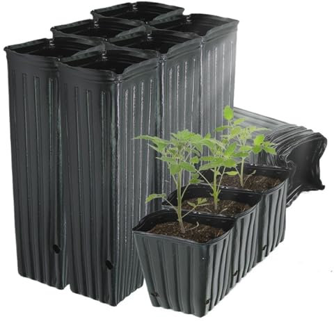 Großer Kunststoff-Baumtopf mit Drainagelöchern für den Innen- und Außenbereich, tiefer Kindergartenbehälter für hohe Pflanzen und Bäume, Sämling, Blumentopf, Starter-Set (14 x 29 x 11 cm, 50 Stück)