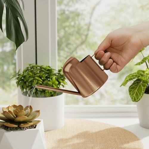 Bamworld Liten vattenkanna för inomhus- och utomhusväxter Metall Rostfritt stål Långt utlopp Blommor Vattenkanna för husträdgård Växter 10OZ Vattenflaska Söt Dekorativ för Bonsai (Brons)