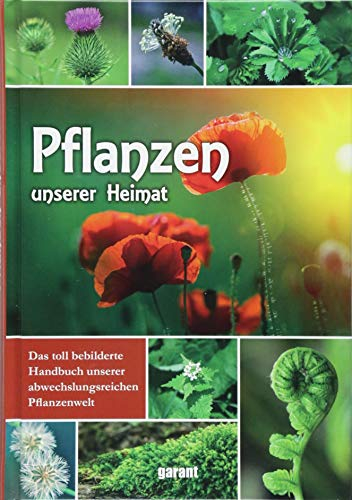 Pflanzen unserer Heimat: Das toll bebilderte Handbuch unserer abwechslungsreichen Pflanzenwelt