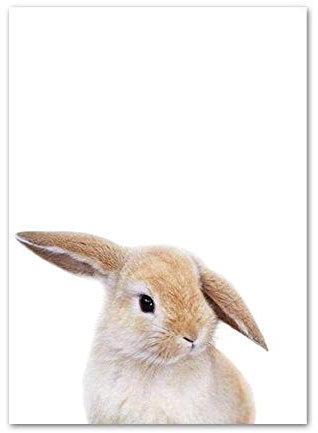 LCSLDW Leinwanddruck，Nordische Plakate Und Drucke Tiere Wandkunst Leinwand Malerei Wandbilder Baby Kinderzimmer Dekor, Für Schlafzimmer Wohnzimmer Wohnheim Wohnkultur, 15X20Cm Ohne Rahmen