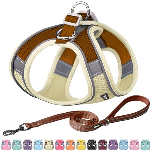 AIITLE No Pull Hundegeschirr, Step in einstellbares Hundegeschirr mit gepolsterter Weste, Hundeleine mit weichem gepolstertem Griff, leicht anzulegen für kleine und mittlere Hunde Beige S