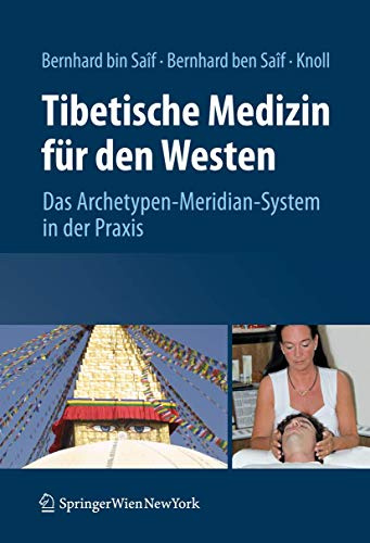 Tibetische Medizin für den Westen: Das Archetypen-Meridian-System in der Praxis: Das Archtetypen-Meridian-System in der Praxis