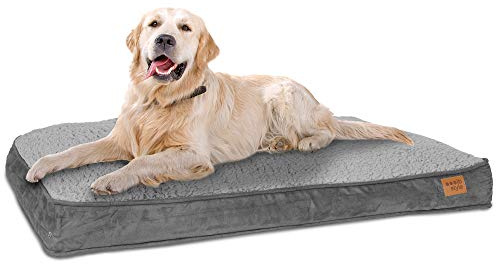 ib style Dreams Hundematte, Hundekissen waschbar, Hundematratze, Schlafplatz mittelgroße Hunde, Hundebett, Abnehmbarer Bezug, L Grau