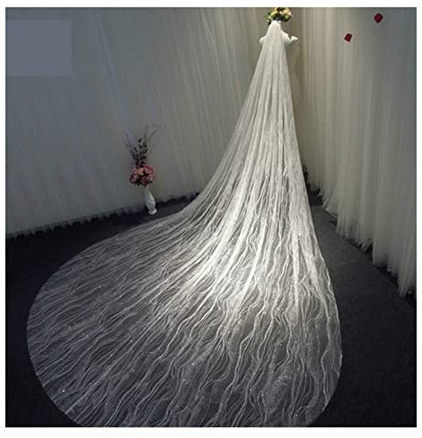 SHANGMAOYO Brautschleier 3M Braut Pailletten Lange Schleier Brautschleier mit Kamm Haarschmuck Hochzeit Kathedrale Kopfbedeckung Brautschleier (Color : D, Size : 300cm)