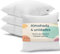 Cojines Sofa 35x35 Almohadones 4 Unidades Decorativos Relleno Cojin Hipoalergénico Antiácaros y Suave Cuadrado con Funda Exterior Almohada Respirable en Cotton/Polyest. Blanco Extraíble y Lavable