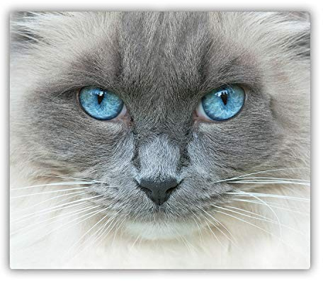 Tulup Tabla De Cortar Cocina 60x52cm - Vidrio Protector De Placa De Induccion - Gato Con Ojos Azules