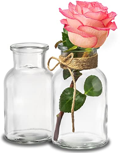 Praknu 24 Mini Glasvasen - 10 cm hoch - Inklusive Juteschnur - Vintage Design - Traumhafte Deko für Hochzeit - Spülmaschinenfest