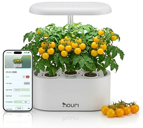Nouri Hydroponisches Anzuchtsystem, 5 Hülsen Smart Indoor Kräutergarten Set mit App & LED-Wachstumslicht, Hydroponischer Kräutergarten für Zuhause & Küche, Italienische Kräuter-Mischung inklusive
