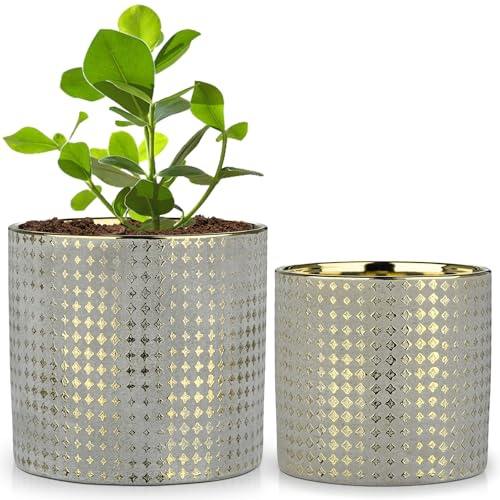 Oairse 2er-Set Blumentöpfe mit Abflussloch Vergoldeter Keramik-Pflanztopf mit Gold Star Textur Perfekt für Moderne Dekoration und Pflanztöpfe, Dekorativen KeramikTöpfen Drinnen und Draußen