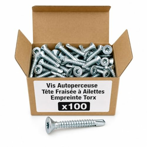 100 vis autoperceuses acier Ailettes tête fraisée Torx - diamètre 6,3 mm - Longueur 100 mm