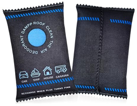 YUPZAR 2 Pezzi Deumidificatore Auto,Riutilizzabile Assorbi Umidità,Ricambi Auto(300 g)