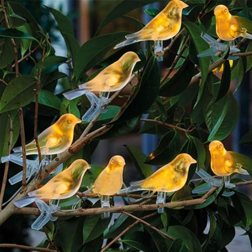 YZYOE 8 paquets de lumières d'oiseaux alimentées par le soleil, décoration de jardin mignonne lampe chaude d'animal, crépuscule sans fil à l'aube des lumières LED imperméables.