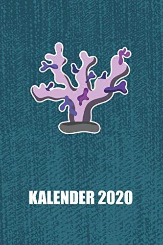 Kalender 2020: Korallen Korallenhaltung (Riffleben, Band 1)