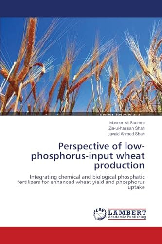 Perspective of low-phosphorus-input wheat production: Integrating chemical and biological phosphatic fertilizers for enhanced wheat yield and phosphorus uptake