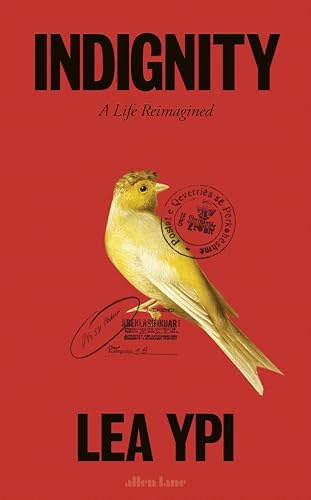 Indignity: A Life Reimagined