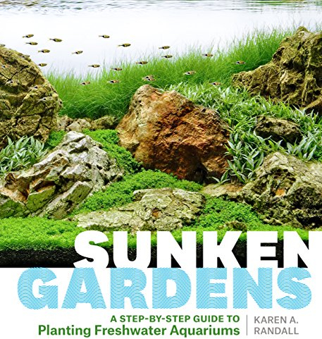 Sunken Gardens: A Step-By-Step Guide To Planting Freshwater Aquariums