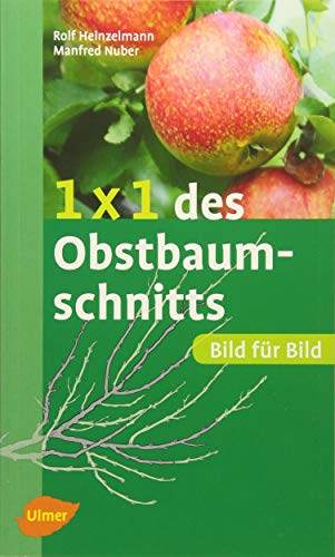1 x 1 des Obstbaumschnitts: Bild für Bild