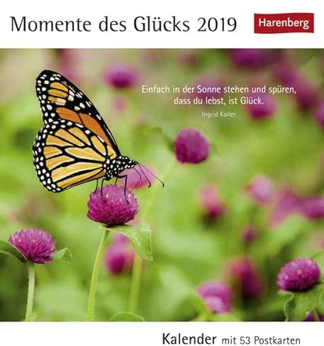 Momente des Glücks - Kalender 2019: Kalender mit 53 Postkarten