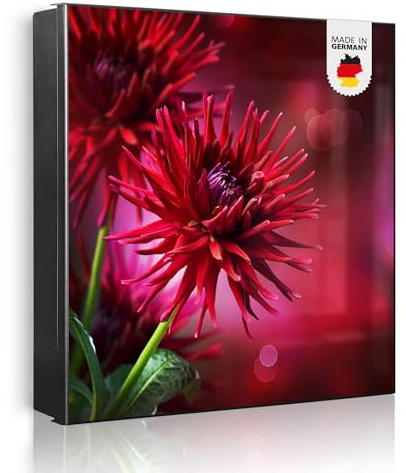 banjado Großer Schlüsselkasten Metall - Schlüsselbox 30x30cm beschreibbarer mit 32 Haken - Schlüsselkasten modern für Schlüsselaufbewahrung - Korpus Schwarz Scharnier Links - Motiv Rote Dahlien