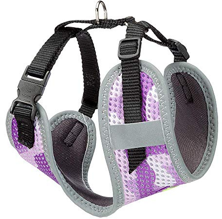 Ferplast Hundegeschirr Kleine Hunde Nikita XS, atmungsaktives, gepolstertes und verstellbares Katzengeschirr, leicht zu tragen, reflektierende Kanten, Brustumfang 28–40 cm. Viola