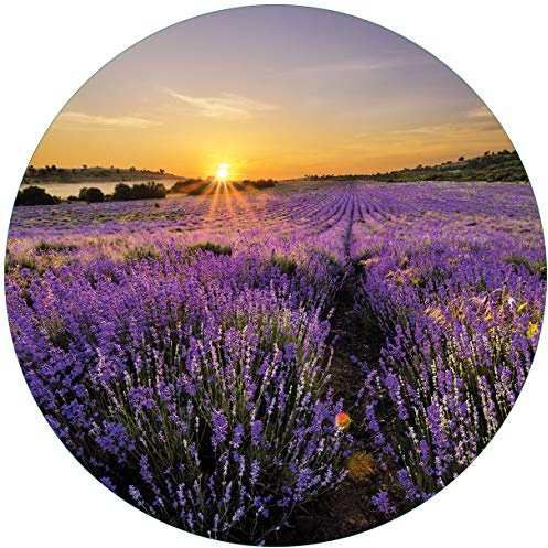 Wallario Glasbild rund Sonnenuntergang über dem Lavendel - Rund, 50 cm Durchmesser Wandbild Glas in Premium-Qualität: Brillante Farben, freischwebende Optik