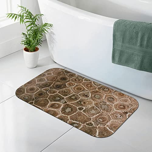 ASEELO Petoskey Stone Badezimmerteppich, saugfähige Pads, Kieselgur-Matte, 50 x 80 cm