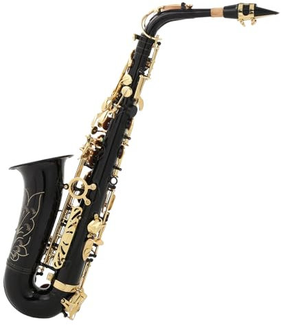 Rankomu Messing-Saxophon-Set, Eb-Altsaxophon, Messing geschnitzt, professionelles Orchesterinstrument-Set mit Wartungswerkzeugen, Schwarz