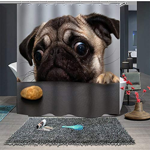 Chickwin Chickw1 Duschvorhang Anti-Schimmel & Wasserdicht, 3D Creative Haustiere Welpen Drucken Duschvorhang mit 12 Duschvorhangringe für Badezimmer (180x200cm,Mops)