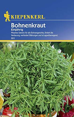 Kiepenkerl 551 Bohnenkraut Einjährig (Bohnenkrautsamen)