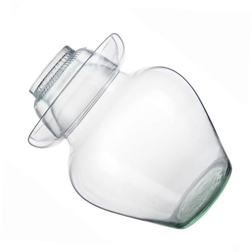 Garneck Glasgefäß Für Kimchi Glastopf Mit Wasserdichtem Deckel Für Sauerkraut Gurken Ingwer Zwiebeln Und Andere Pickles Transparentes Glas Zum Überprüfen Des Zustands Versiegelung Für Lang