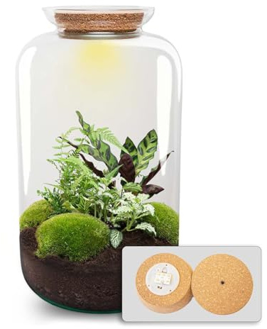 urbanjngl - Sven XL Botanisches Terrarium mit Licht – DIY Kit für Pflanzenökosystem, Ø 23 cm, Höhe 43 cm, ideal für Pflanzenliebhaber und Dekoration