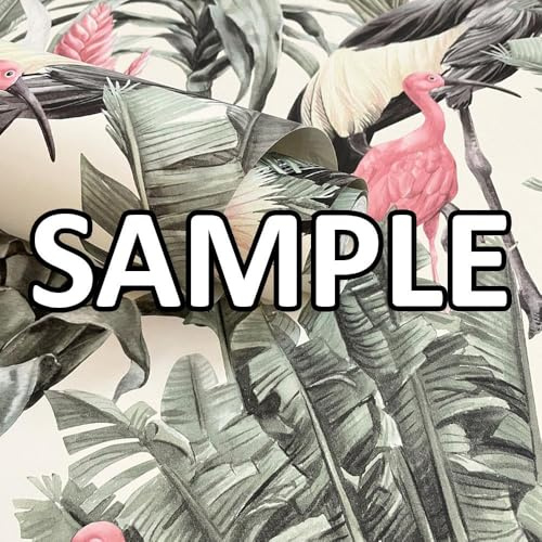 World of Wallpaper Manu Tropical Birds Wallpaper Pattern Match Wallpaper Sample for Living Room/Hallway/Bedroom Cream and Green AF0020 Sample | Easy to apply wallcovering, Foliage, Jungle, Bedroom, Hallway, Living & Dining Rooms (approx. 50cm x 30cm SAMPLE)