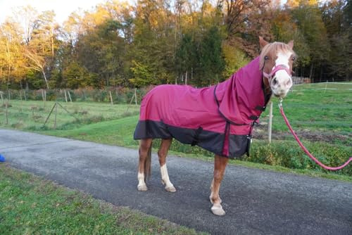 Regendecke Pferdedecke mit Halsteil 115, 125, 135, 145, 155 & 165 Outdoordecke 1200 Denier (Kastanienbraun, 125 cm)