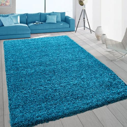 SASONS® Extra Large Shaggy Rug 5cm Thick Soft Pile Modern Fluffy Rugs for Living Room Bedroom Floor Carpet Mat Non Shedding Warm Colours Small Large X-Large Area Rugs (Teal, 120 x 170cm)