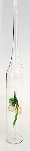 Bouteille en verre clair souffle al la bouche carafe decanter avec deux mirabelle de verre à l'intérieur contenu 0,2 litres hauteur env. 34 cm, Oberstdorfer Glashütte
