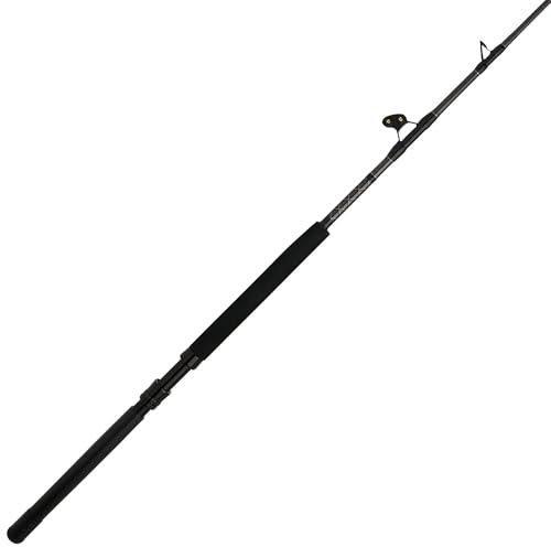 PENN Ally II Boat Conventional - 30-50 6 RS C