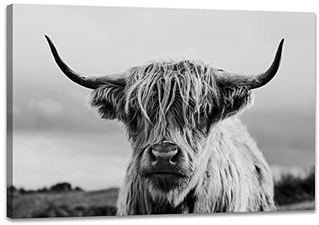Highland Cow Wall Art Canvas Print Black and White Animal Canvas Picture Framed Art Wall Decor for Bedroom Bathroom (12x16 inch)