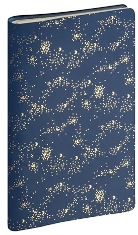 Exacompta - 166272E – Taschenkalender SAD 16S Meline – 9 x 16 cm – Wochenkalender 16 Monate – September 2023 bis Dezember 2024 – Farbe Konfetti Blau Silber