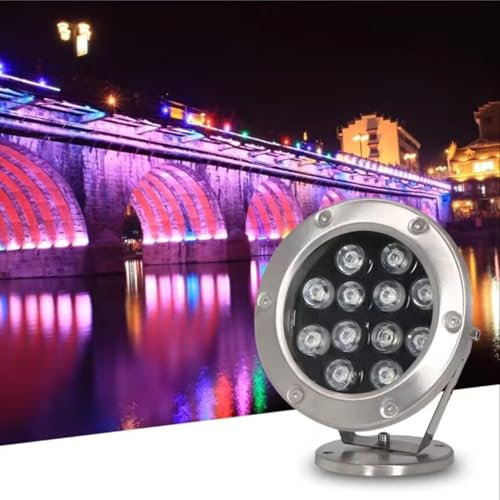 Luci Paesaggistiche A LED Da Terra - Luci Sommergibili A LED Per Piscina, Luci A LED Subacquee Con Angolo Regolabile A 360°, Lampada A LED Per Fontana Ad Anello, Sommergibili Impermeabili IP68(Blue,12