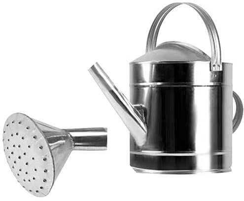 ABOOFAN Jardineras Suculentas Regadera De Hierro 5L Regadera De Metal con Boquilla Extraíble Rociador De Agua Regadera De Plantas para Plantas De Jardín De Interior Y Exterior