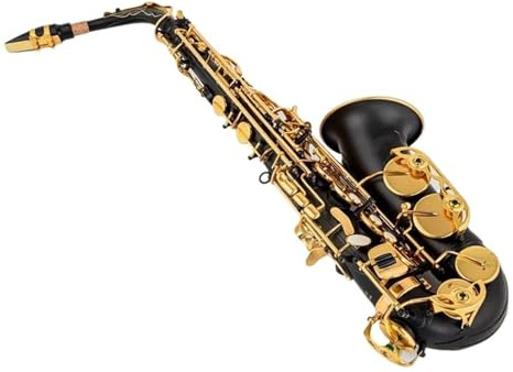 Saxophon Eb Altsaxophon Einzigartiges Mattschwarz Blau Rot Lila Vernickelte Geschnitzte Oberfläche E Flat Instrument Sax(Black)
